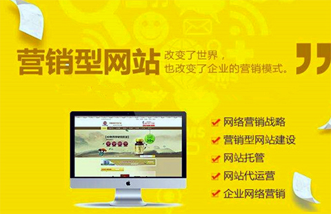 营销型网站普通版_沈阳定制开发图